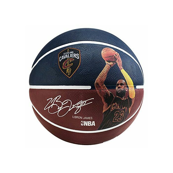 spalding basketball lebron james