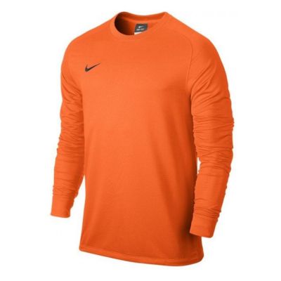 NIKE Park goalie 2 jersey
