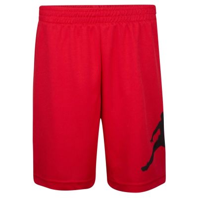 JORDAN Bermuda air jordan mesh