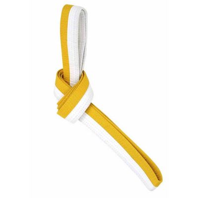 DANA SPORT Cintura bicolore altezza 4 cm