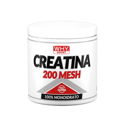 why sport Creatin 200 mesh 200gr