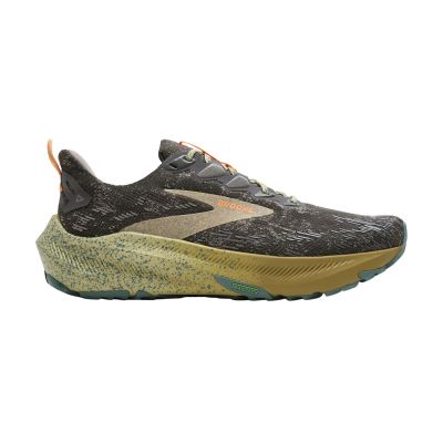 brooks Ghost trail