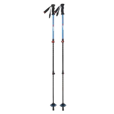 Rock Experience Bastoncini trekking pole evo