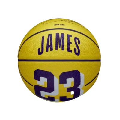 wilson Nba player icon mini bskt yepr ll