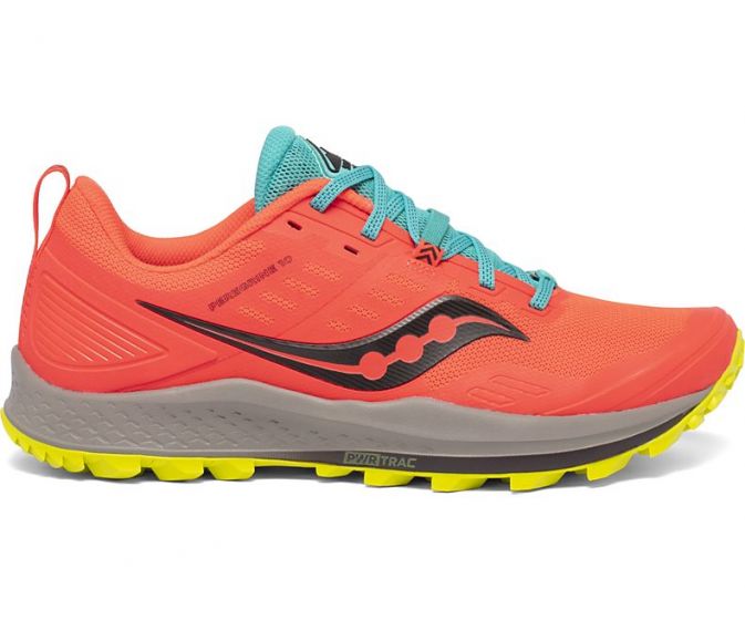 saucony peregrine 10 vs iso