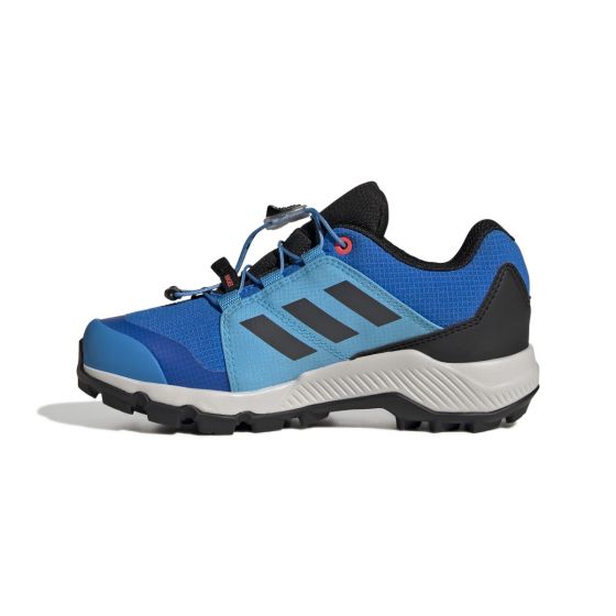 Adidas terrex gtx best sale