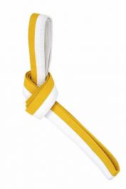 Tavolo Da Campeggio Pieghevole VEVOR - 120x47 Cm Con Valigetta - Altezza Regolabile Per BBQ - Foto 5